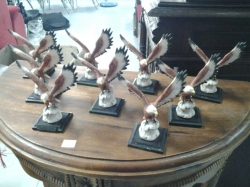 Collection of eagle