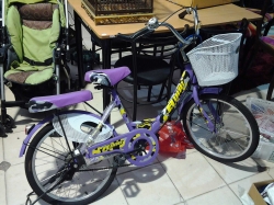 Girls bicycle