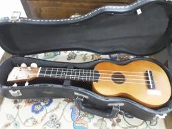 Ukulele in box working