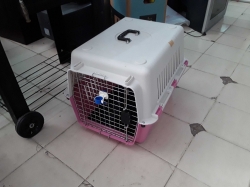 Cat cage