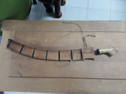 Old sword in wood case