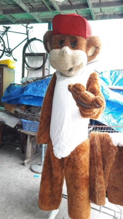 Monkey of Mascot