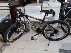 Euro bicycle