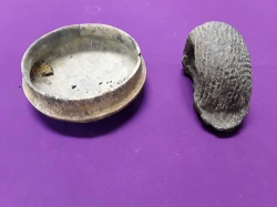 Old fosil with old plate