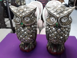 A pair of owls
