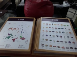 12 pcs manu wine advertising