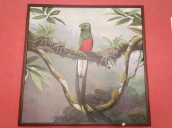 Oil painting of bird on canvas