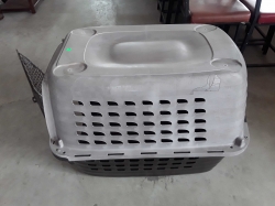 Dog case