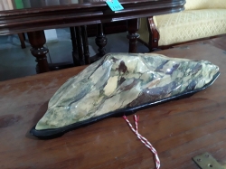 Japanese Gardening Stone for Bonsai
