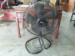 Hatari Fan