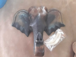 Wooden Elephent Head