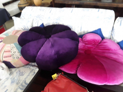 3pcs Cushions