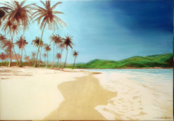 Tropical beach By Chris Newton