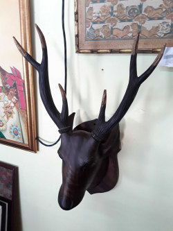 Reindeer head