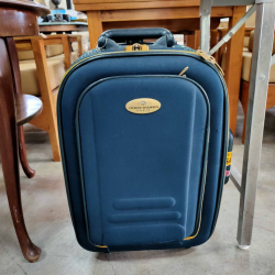 Pierre Balmain (Paris) green color trolley luggage suitcase