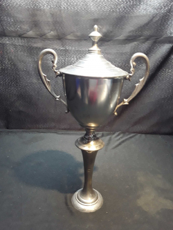 Silver colour award cup