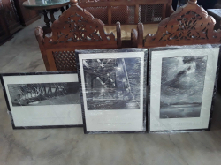 3X pictures of Sydney harbour bridge 1999