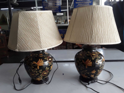 Pair of Porclelain Lamps Painted with flowers & Shades