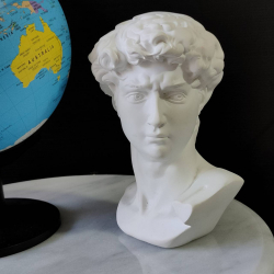 A Michelangelo David Head Bust 6