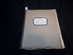 Collection of German 1935 Nazi Newspaper Articles