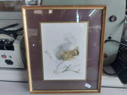 Squirrel Print with Frame
Ref.281