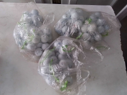 Bag of Golf balls.
