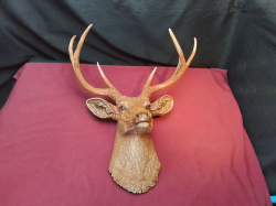 Deer Resin Handicraft.
W.56 H.45 Cm.