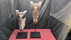 2x Crocodile Heads Sculpture.
Small H.53 Cm.
Large H.69 Cm.