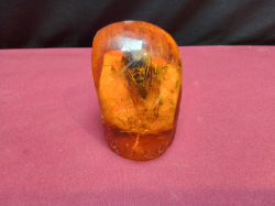Insect in Amber Stone.