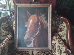 A Lovely Paint on Canvas Framed of A Horse. 
W.70 H.90 Cm.