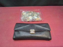 Coin Collection with globetrotter Money Purse (7 Compartments)