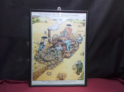 The Picture of