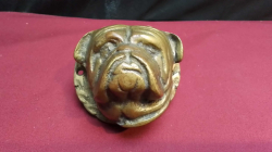 A Solid Heavy Brass Bulldog Door Knocker.