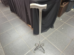 A Walking stick