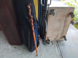 A Nice Wood King Cobra Walking Stick 44