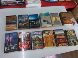A Large Selection of 12 Novels by Various Authors.
