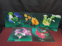 x5. Japanese, Morning Glory Flower Bird Prints, unframed.