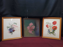 3 Floral Water Colors Framed and Glazed. W.27 H.33 Cm.