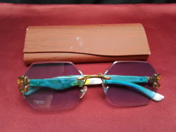 A high quality Tiger logo sunglass with case. (new)
