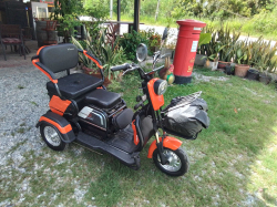 LEETA Super Classic Electric Tricycle. (Working)