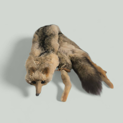 A Vintage Collectible Full Size Red Fox Fur Scarf Head Tail , 84 cm. long in perfect condition