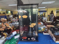 A showcase glass box with music. D.29 W.43 H.80 Cm.