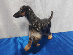 A Large Afgan Hound with Mark on Foot ( Tiny Chip on Tail) W.28 H.23 Cm.