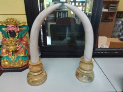A Nice Pair of Marble  Elephant Tosks. W.24 H.50 Cm.