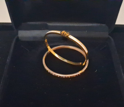 Two beautiful Gold Plated Stainless Steel(316L) bracelets (size 16-18cm).