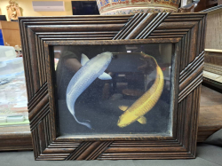 A Wooden framed small picture of Coy carp