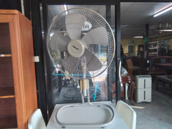 A Large Hatari Fan.( working)