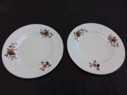 A Pair Royal Worcester Plates.W.27 Cm. ( mint condition)