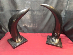 2 Large Cow Horn on Stands.H.39,42 Cm.