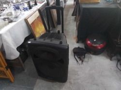 A Large Multimedia Speaker.